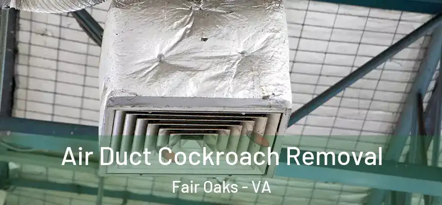 Air Duct Cockroach Removal Fair Oaks - VA