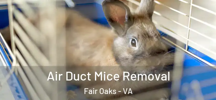 Air Duct Mice Removal Fair Oaks - VA