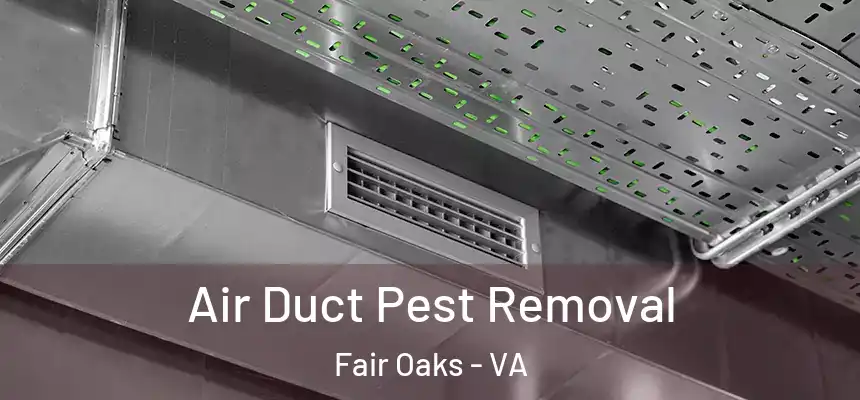 Air Duct Pest Removal Fair Oaks - VA