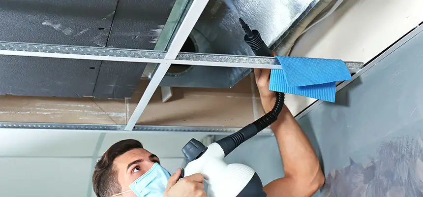Our Air Duct Rodent Removal Services in Fair Oaks, VA