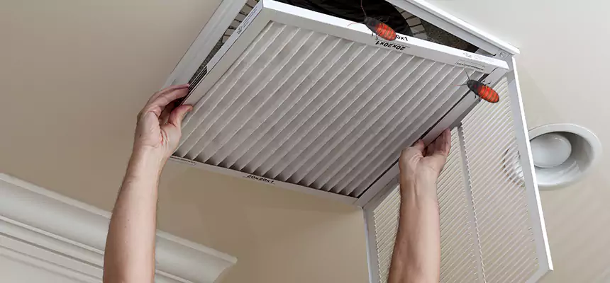 Our Insect Removal from Air Ducts Services in Fair Oaks, VA