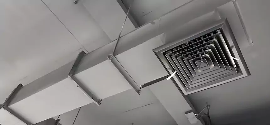 Our Rodent Droppings In Vents Services in Fair Oaks, VA