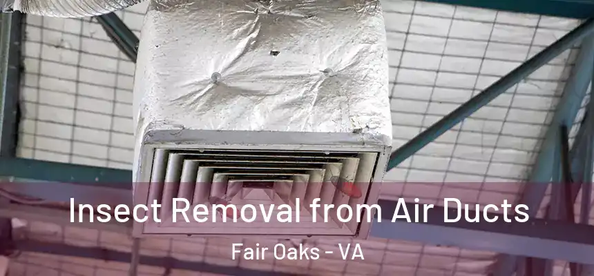 Insect Removal from Air Ducts Fair Oaks - VA