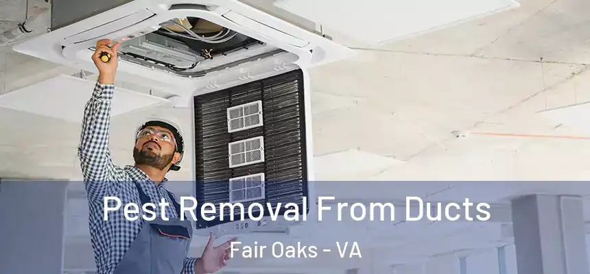 Pest Removal From Ducts Fair Oaks - VA