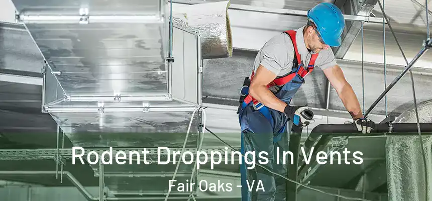  Rodent Droppings In Vents Fair Oaks - VA