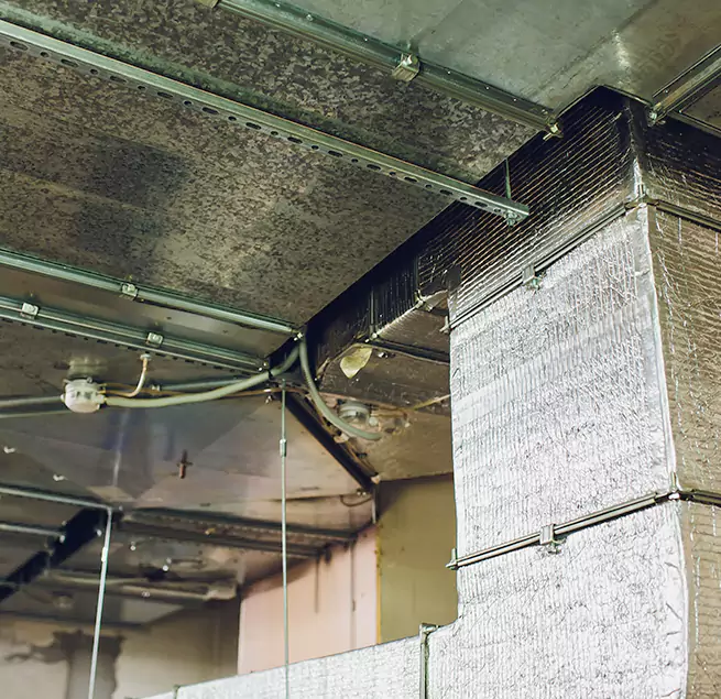 Why Homeowners & Businesses Trust Us in Fair Oaks, VA?